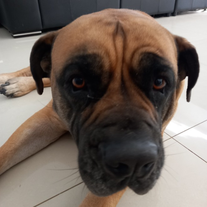 Salayah and Saneyah Kanjiani