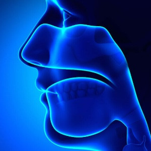 ENT TONSIL TICKLERS