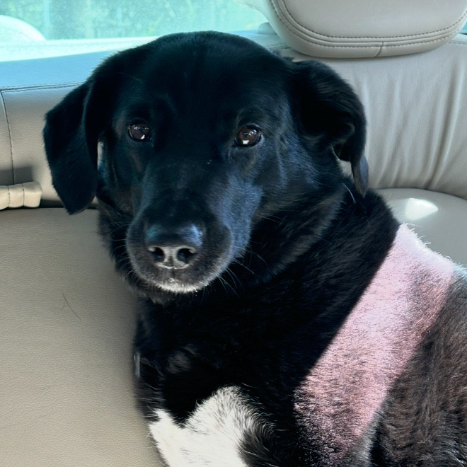 Photo of Theo Goldsworthy