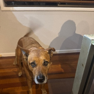 Angela And Dom McCarthy