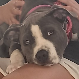 Photo of Bella Hearn