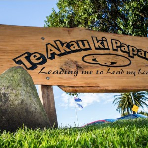 Te Akau ki Pāpāmoa profile pic
