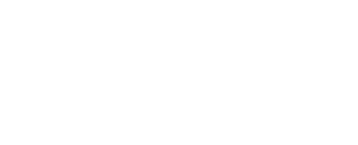 Disability Sports Australia
