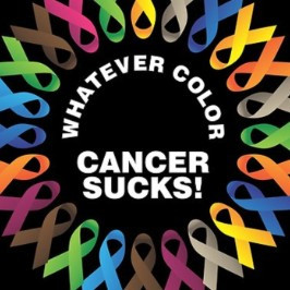 Fight Club - Fighters and Friends